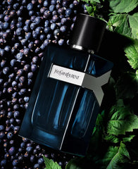 YSL Y Intense packaging that fits a gym bag or desk.
