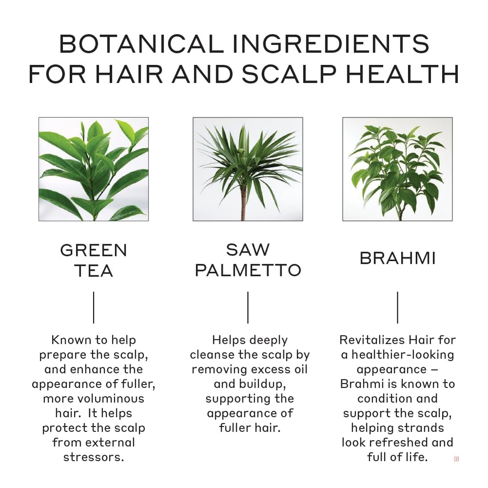 Zenagen Revolve scalp-application shot highlights quick five-minute care concept