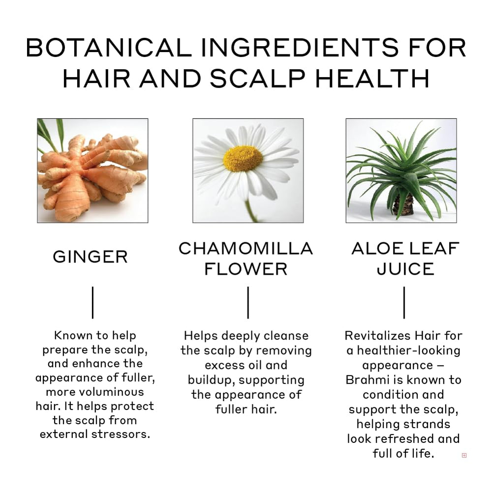 Zenagen Revolve application on scalp demonstrates a quick, non-greasy conditioning routine.