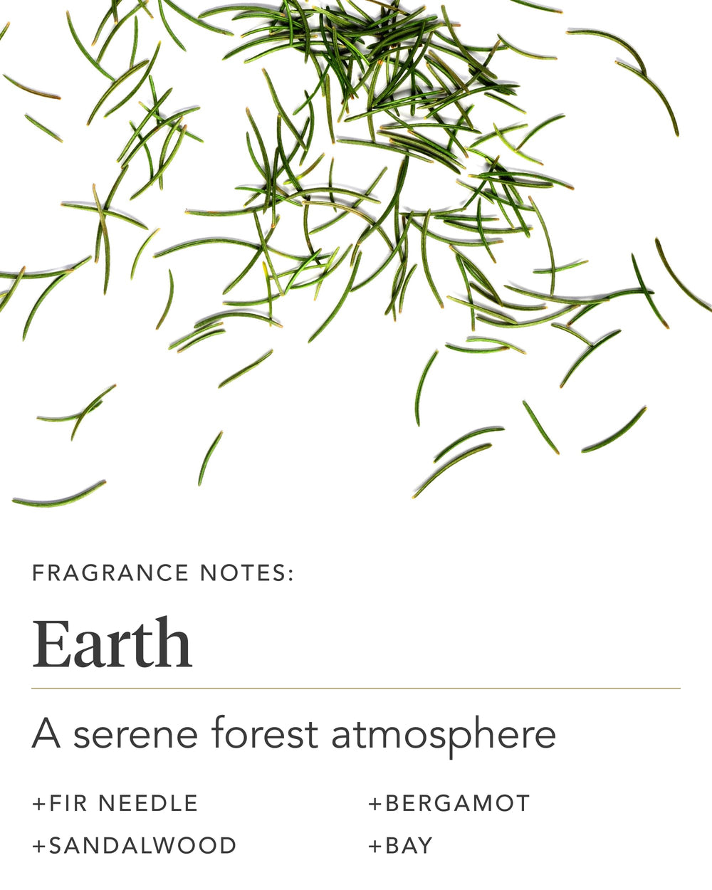 ZENTS Earth shea butter focus on ultra-hydration and skin barrier support.