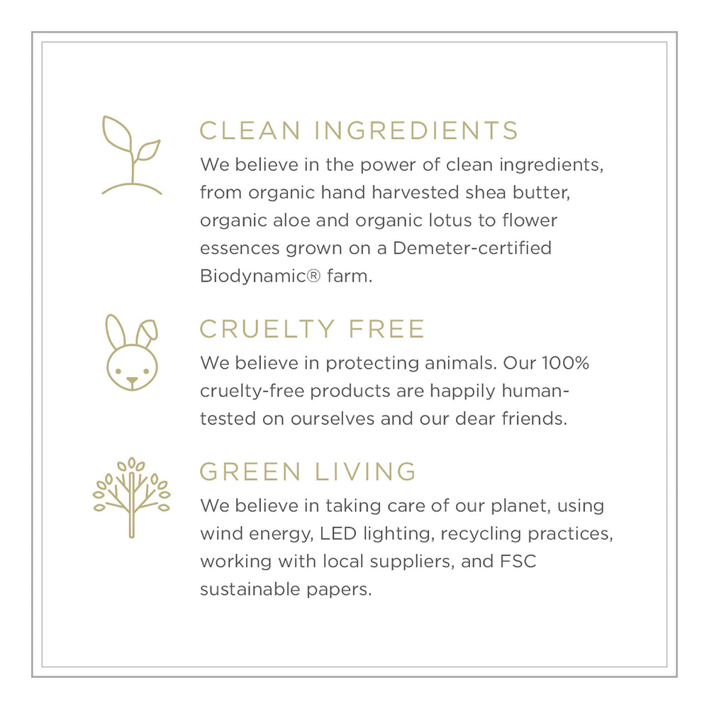 Zents Concreta eco packaging – sustainable care aligned with mindful routines.
