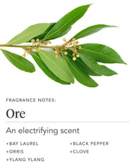 Zents Ore lotion bottle resting on a wooden surface for a premium look.
