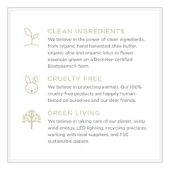 Zents Petal packaging-green-process underlines eco-conscious design with vegan ingredients.