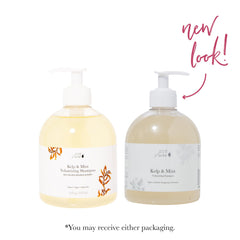 Peppermint oil focus in 100% PURE Kelp & Mint Shampoo provides a cooling scalp feel