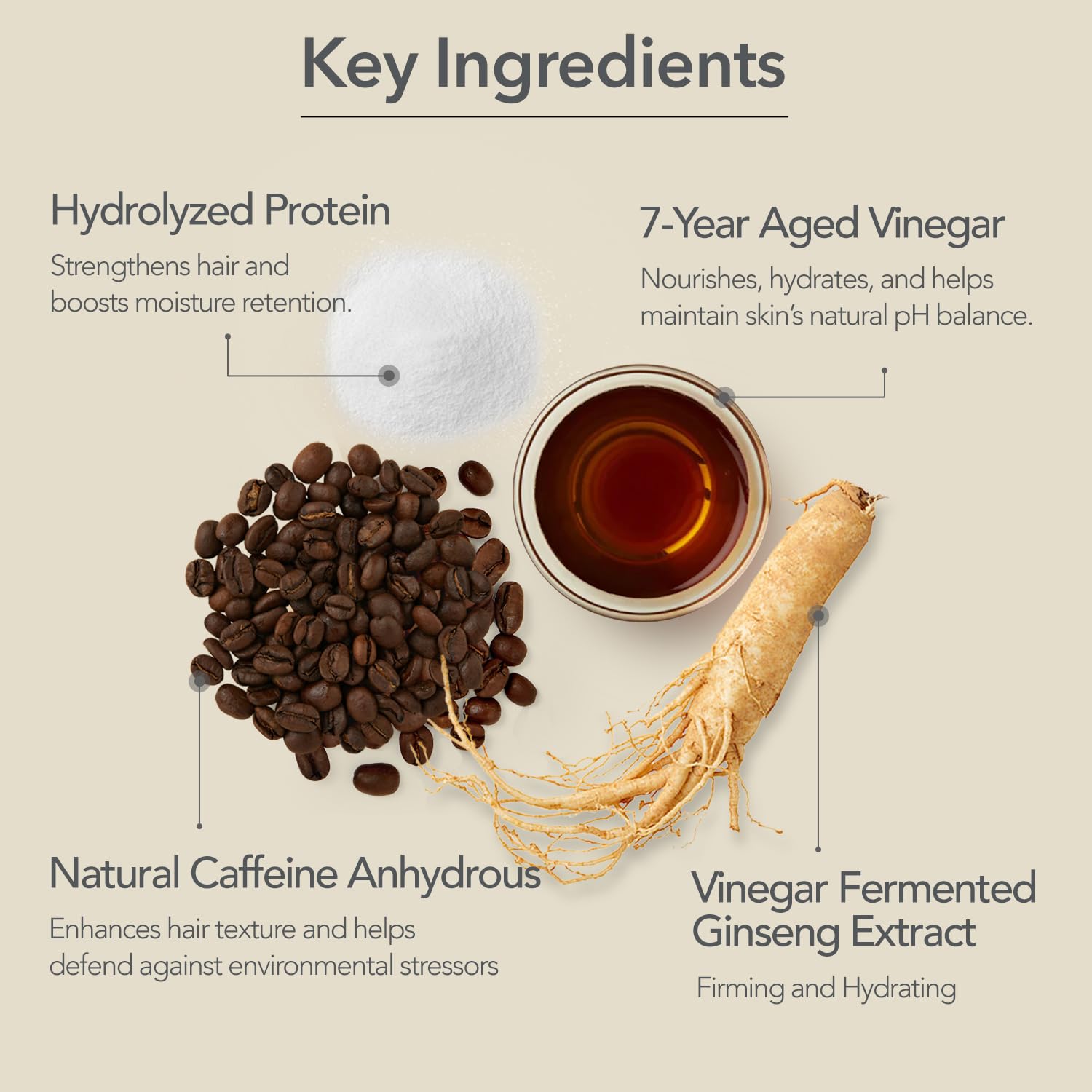 Ginseng, caffeine and biotin ingredients close-up for care benefits.