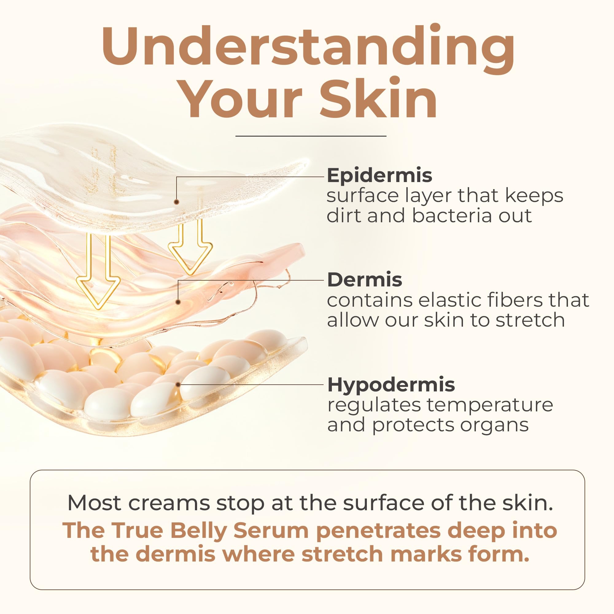 Diagram showing triple-weighted hyaluronic acid in 8 Sheep Organics True Belly Serum