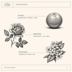 A LA MAISON Citrus Blossom BPA-free packaging supports recycling