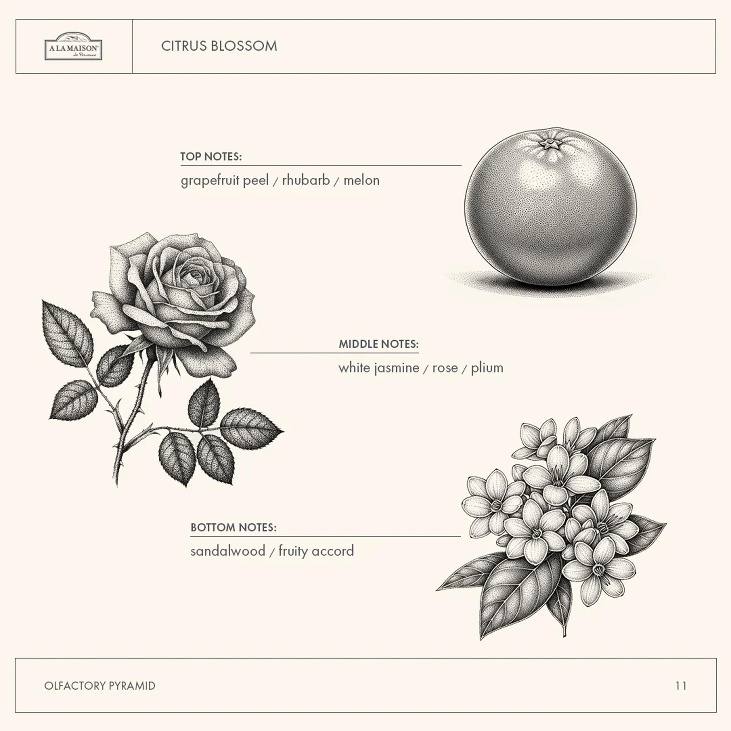 A LA MAISON Citrus Blossom label showcasing authentic French craftsmanship.