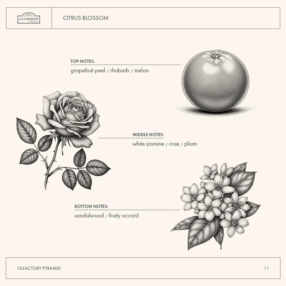 A LA MAISON Citrus Blossom label showcasing authentic French craftsmanship.