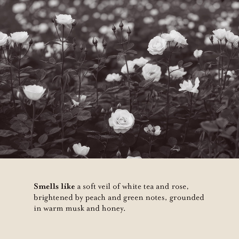 Delicate White Tea & Rose fragrance in a calm shower ritual.