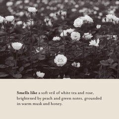 Delicate White Tea & Rose fragrance in a calm shower ritual.