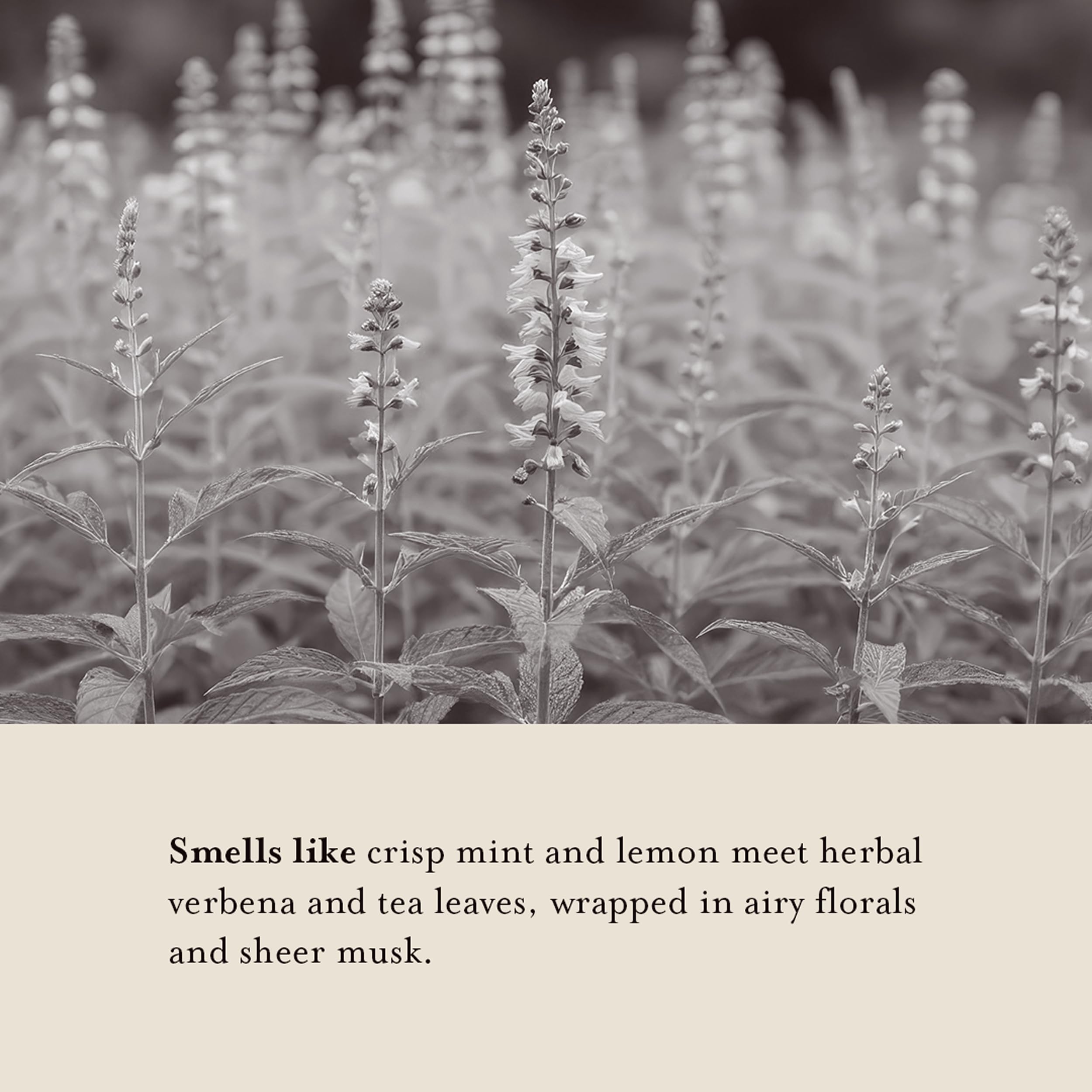 A LA MAISON Recyclable pouch supports eco-conscious refills.