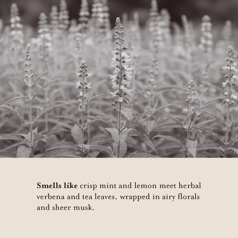 A LA MAISON Recyclable pouch supports eco-conscious refills.