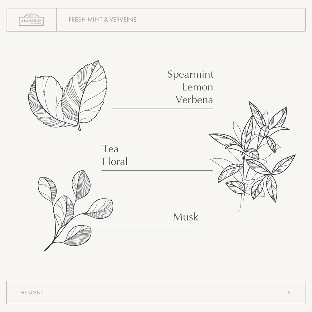A LA MAISON Mint Verveine fragrance offers a crisp, garden-inspired aroma.