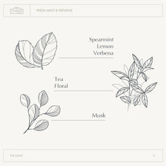 A LA MAISON Mint Verveine fragrance offers a crisp, garden-inspired aroma.