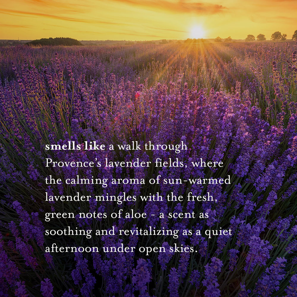 A La Maison Lavender Aloe Body Wash lather reveals a luxurious fragrance-rich cleanse.