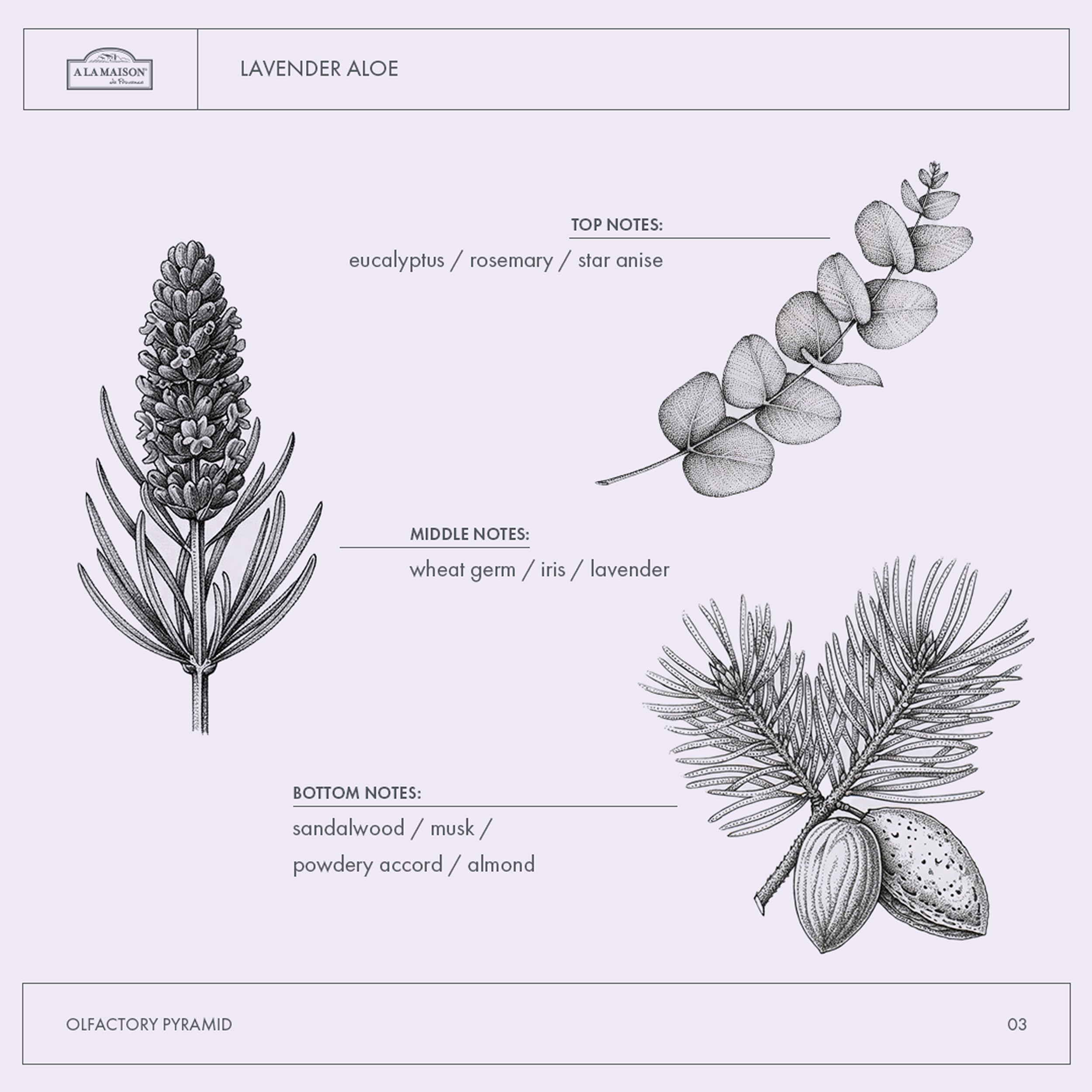 A La Maison Lavender Aloe Body Wash pour demonstrates rich foam spreading evenly for a thorough wash.