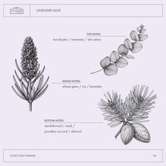 A La Maison Lavender Aloe Body Wash pour demonstrates rich foam spreading evenly for a thorough wash.