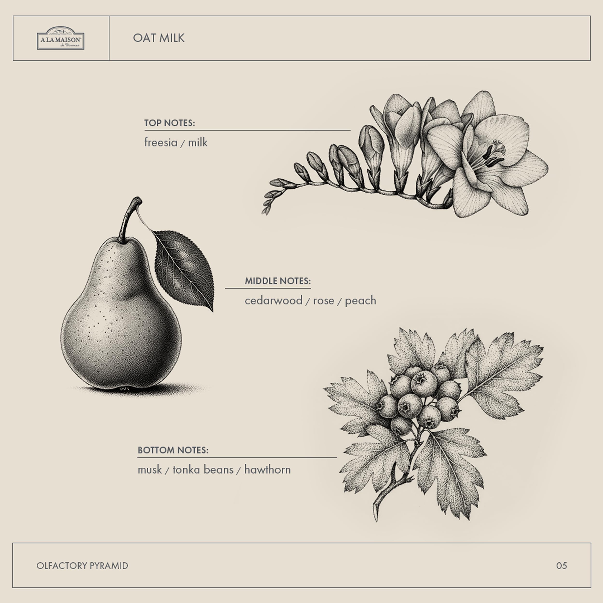 A LA MAISON Oat Milk Body Wash ingredients panel highlights oat milk.