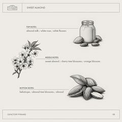 Pump dispenser of A LA MAISON Sweet Almond wash for easy use