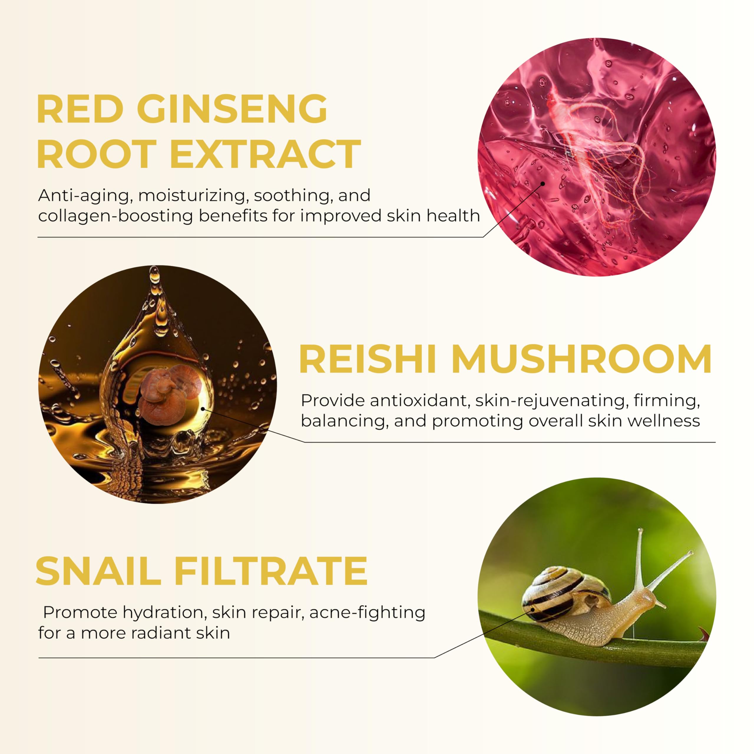 ABERA Kasumi Glowing Cream ingredients visual featuring red ginseng and niacinamide