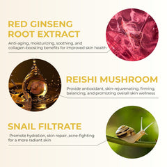 ABERA Kasumi Glowing Cream ingredients visual featuring red ginseng and niacinamide