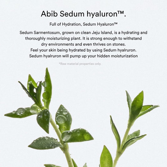 Abib Sedum Hyaluron Pad Hydrating Touch pad inside demonstrates the hydration core.