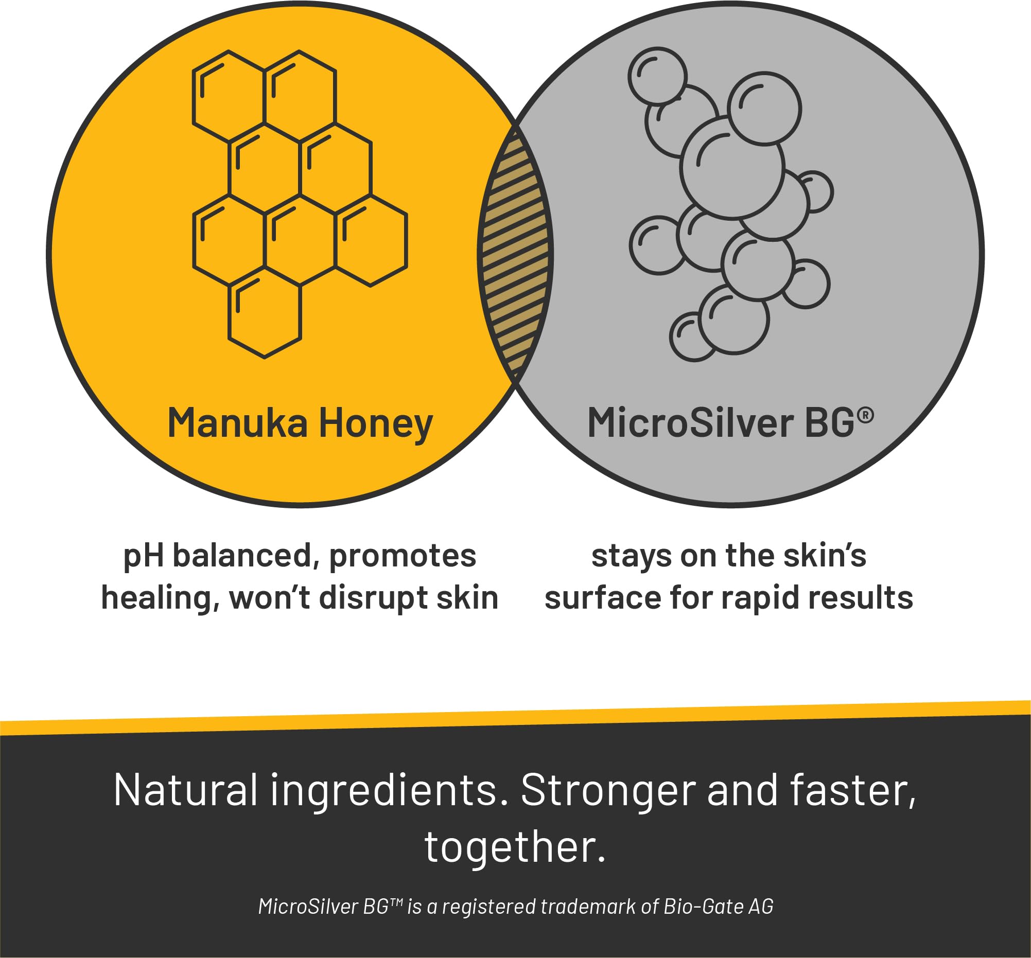 Absorbine Silver Honey Rapid Shampoo application scene targets affected areas with gentle massage.