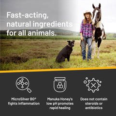 Absorbine Silver Honey Rapid Shampoo side-label emphasizes pH balance and fragrance-free formula.