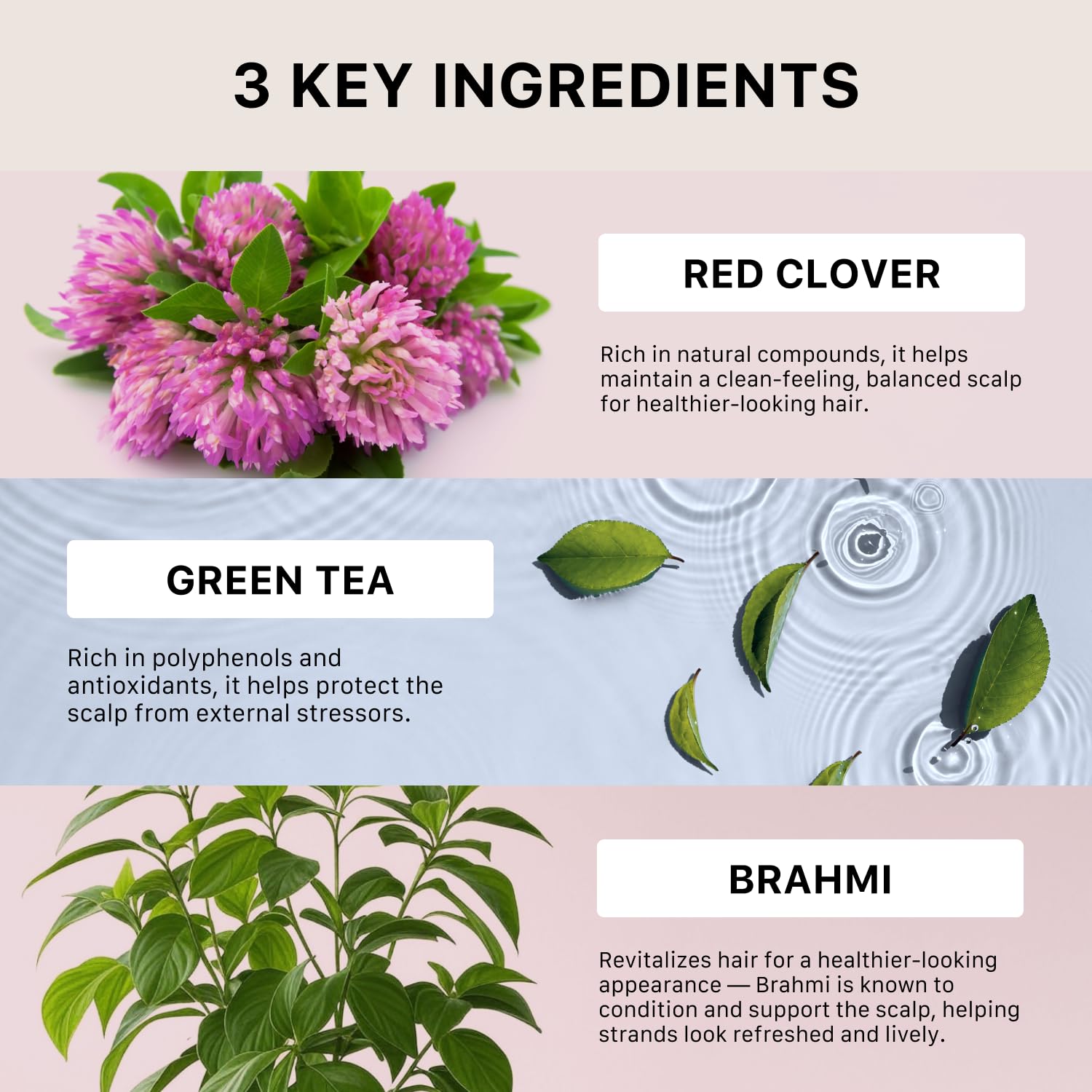 ACTIIV Recover thickening shampoo ingredients spotlight image