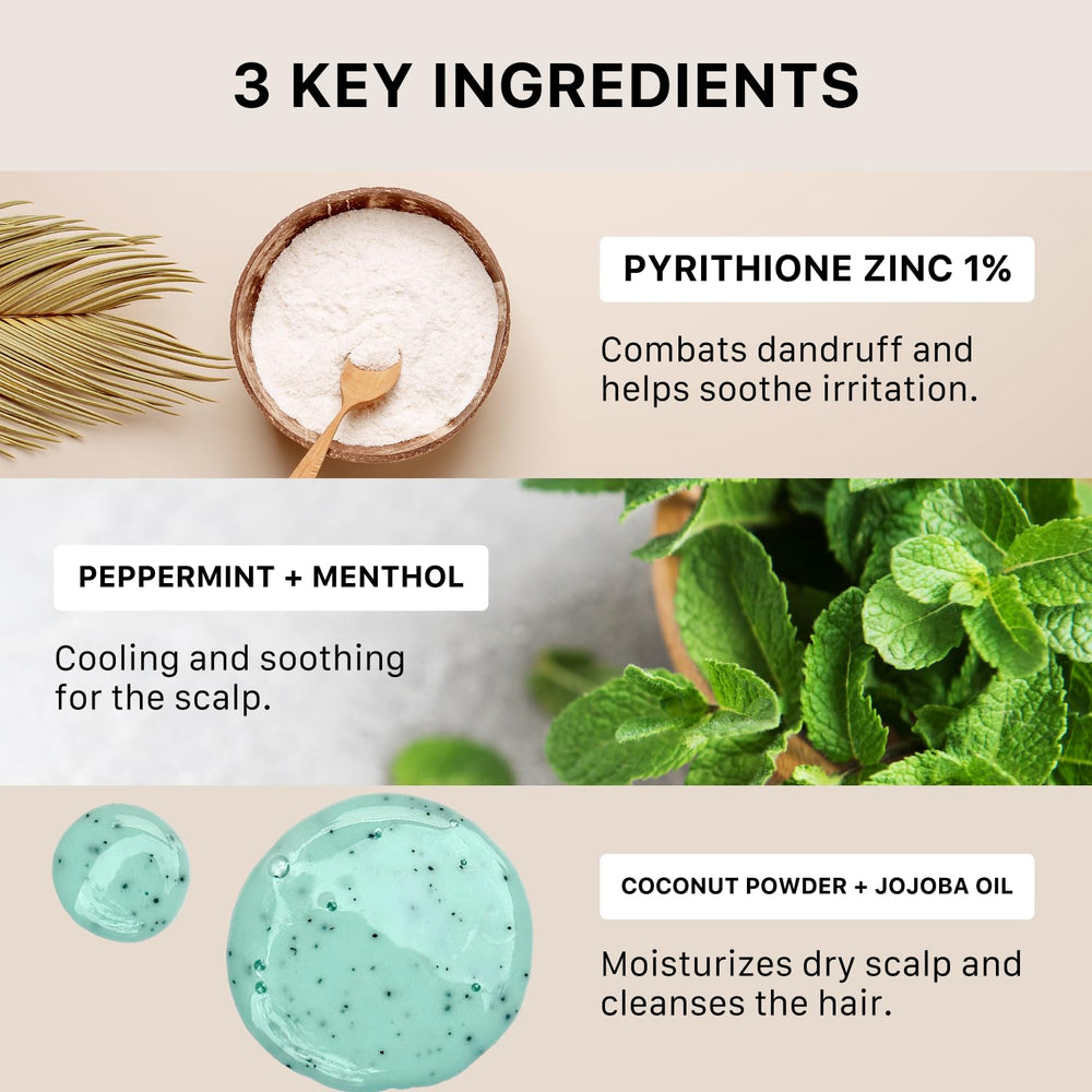 ACTIIV Remedy Dandruff Shampoo ingredient visual suggests antioxidant protection for scalp