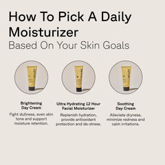 Acure Brightening Day Cream shown in a morning routine for balanced hydration