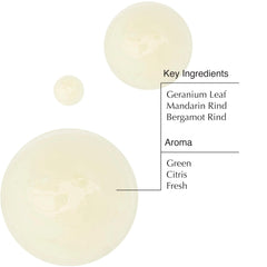 Close-up of green geranium leaf and citrus aroma in the cleanser