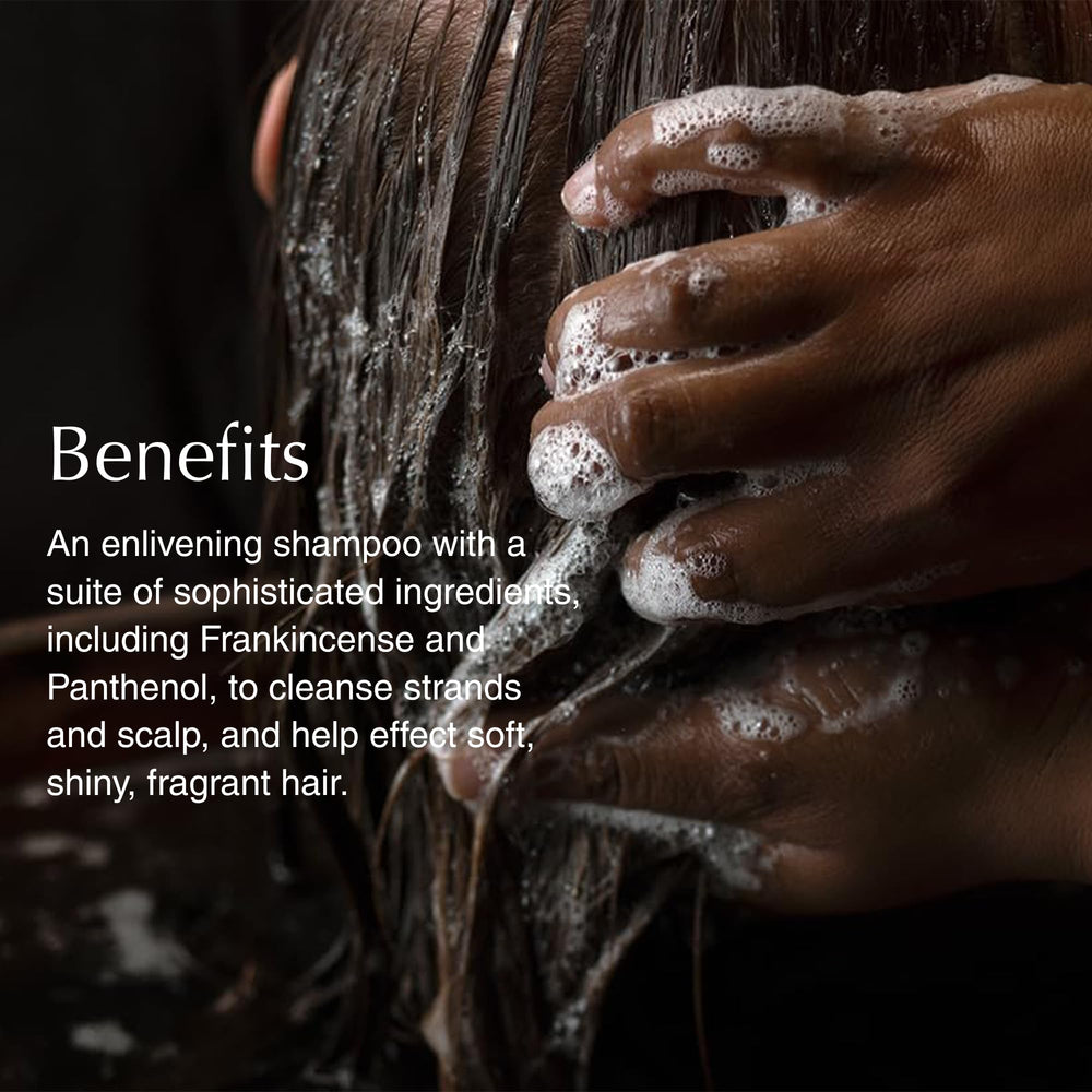 Aesop Shampoo Refill ingredient frankincense highlights natural cleansing action.