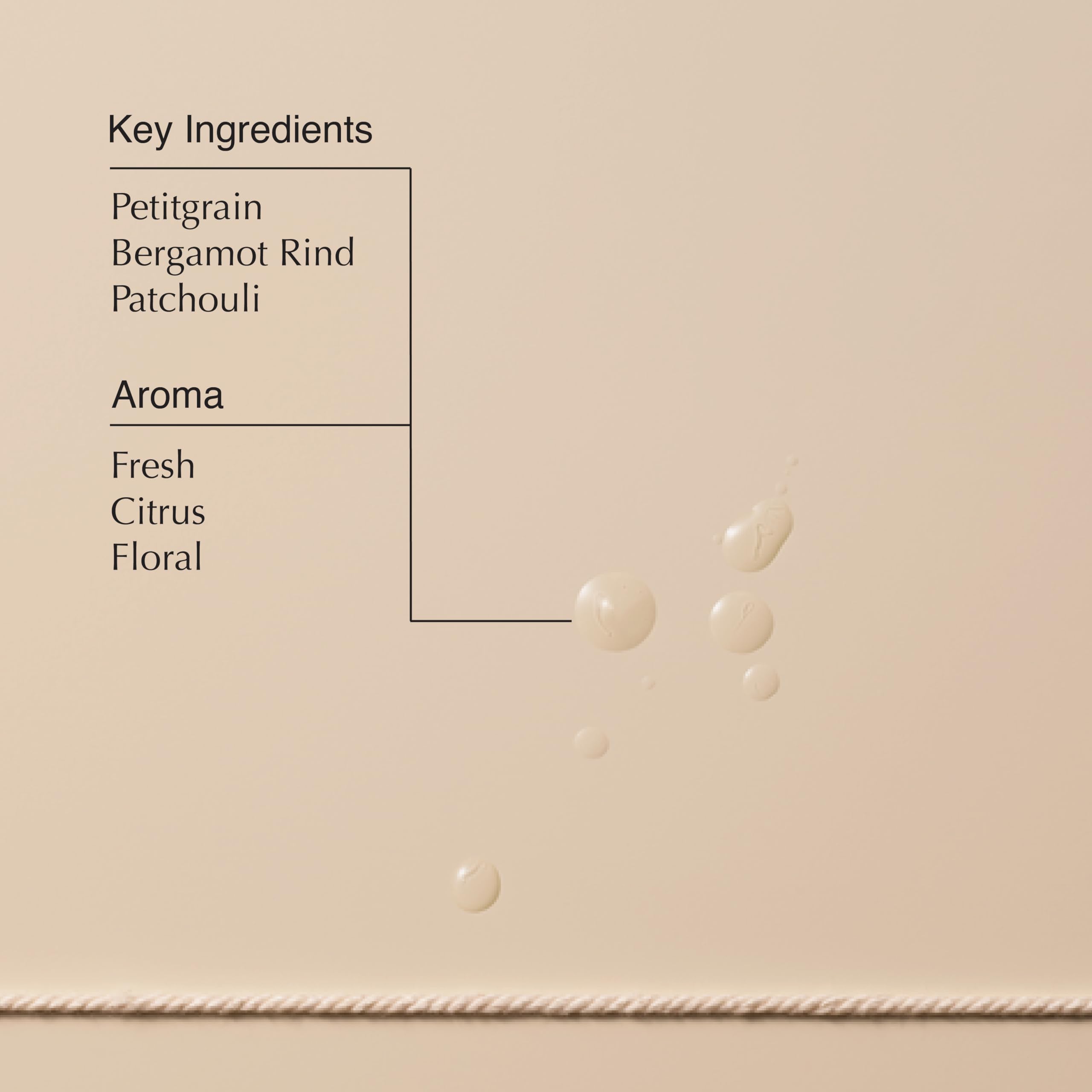 Close-up of smooth, frizz-free strands after applying Aesop serum.