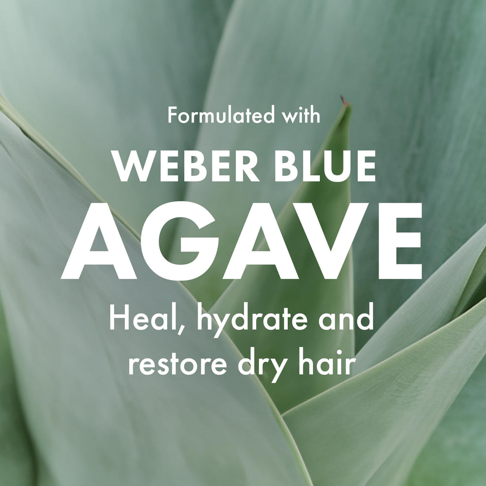 Agave Healing Oil agave smoothing shampoo hair-softening action during use.