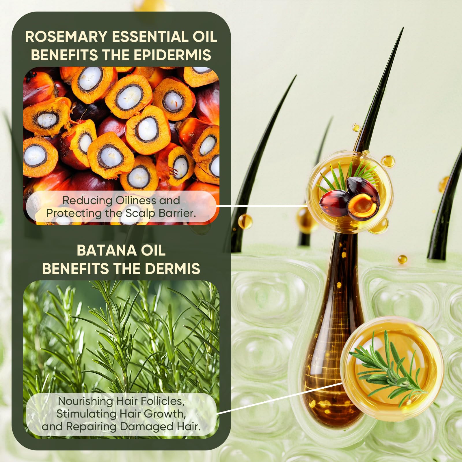 Agodafoo Batana Oil Conditioner application demonstrates smoothing action on hair.