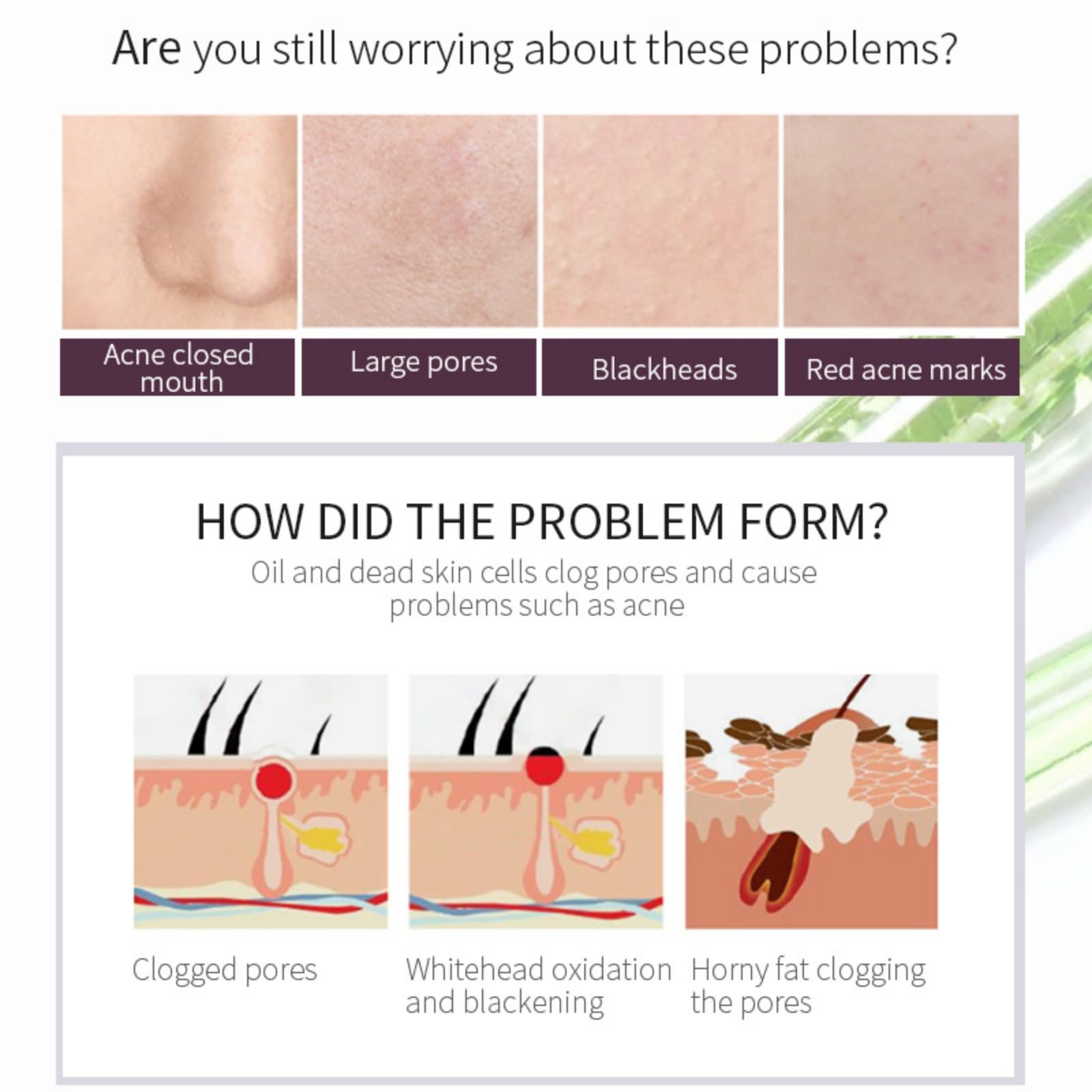 AHA 30% + BHA 2% peeling solution with green tea and chamomile illustration
