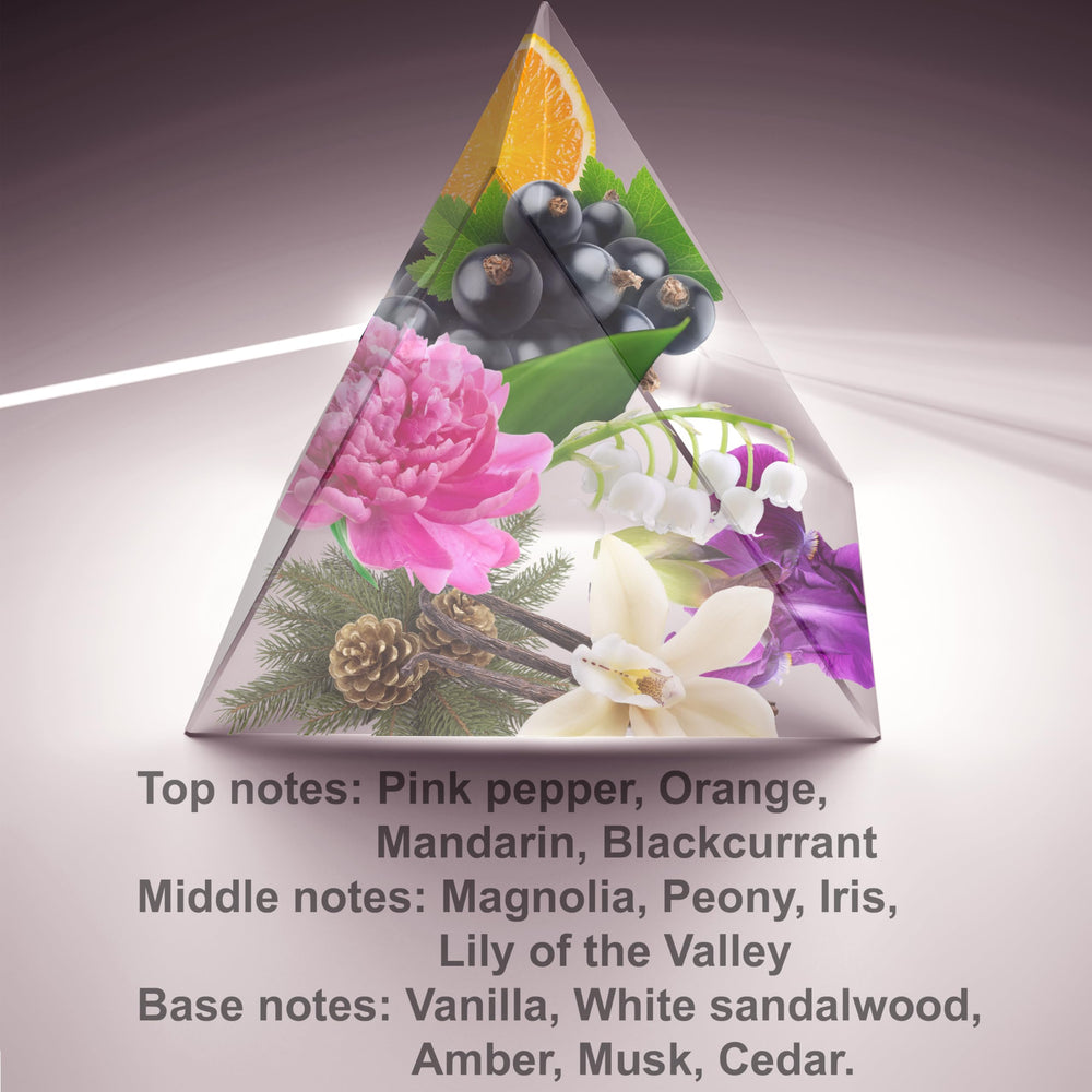 ALFAMARKER Soul 2102 Money packaging closeup conveys affordable luxury