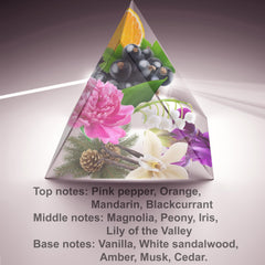ALFAMARKER Soul 2102 Money packaging closeup conveys affordable luxury