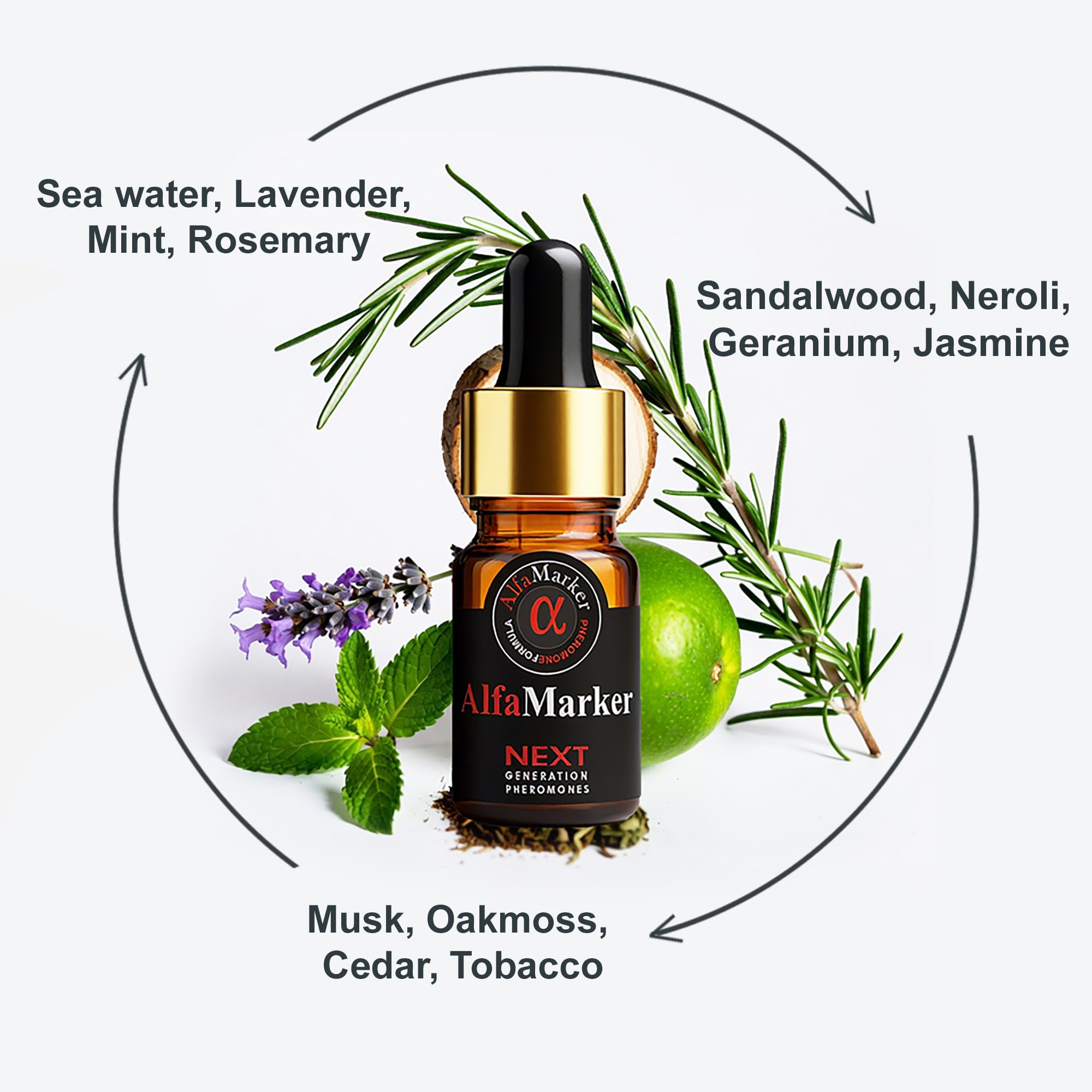 ALFAMARKER woody musk amber notes enrich a masculine aura.
