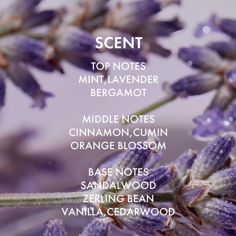 ALFHEIM Lavender+ Purple Shampoo 33.8 oz packaging for long-term use