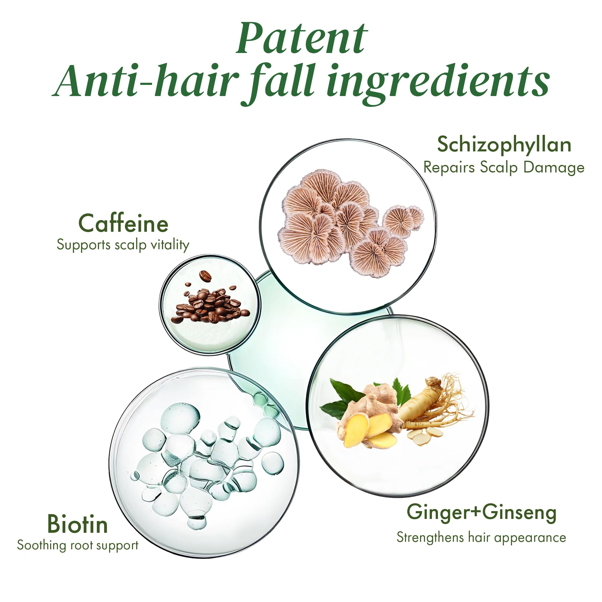 Applying ALFHEIM serum to scalp with precision applicator.