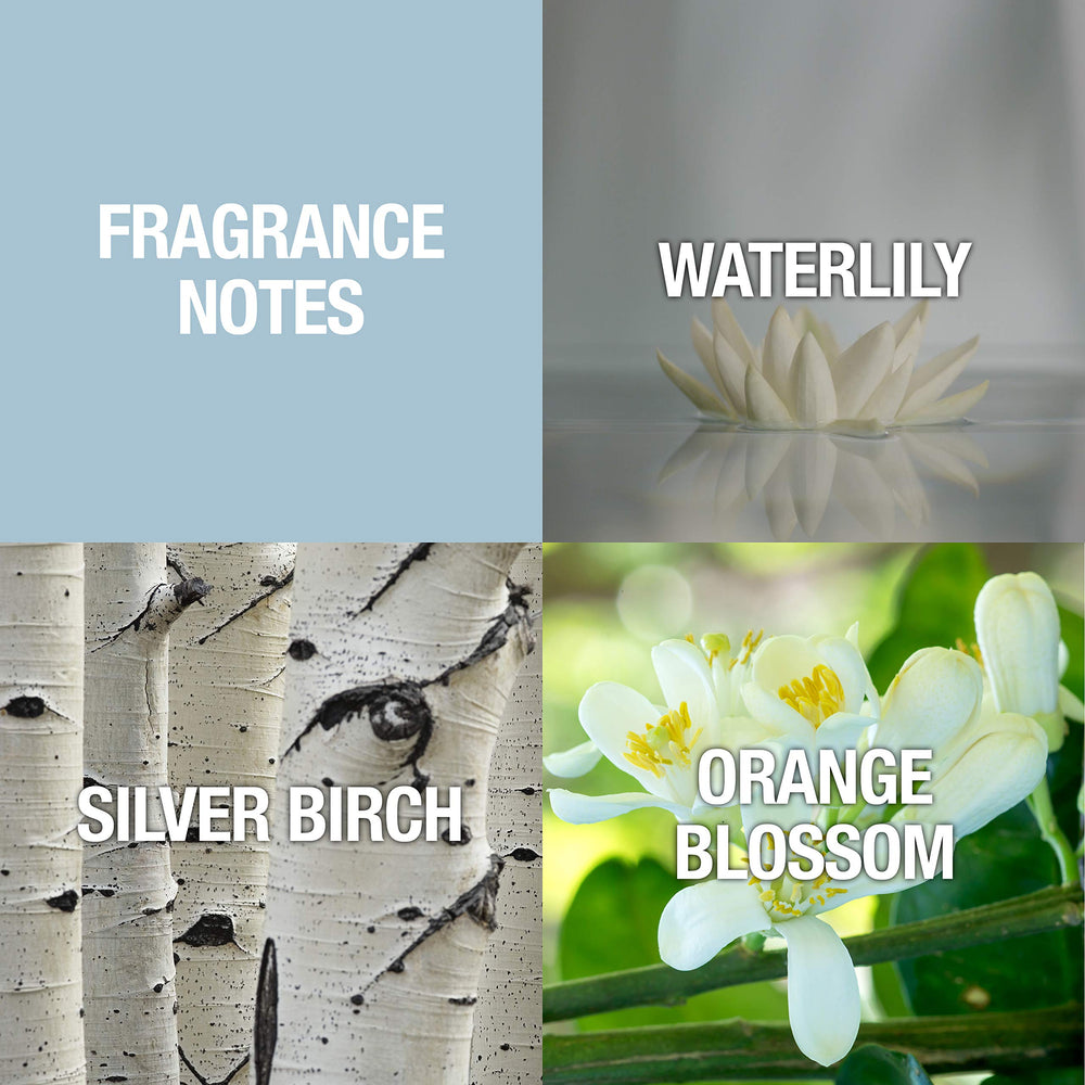 Alfred Sung Shi note bouquet highlighting rose and melon tones in harmony.