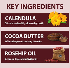 Calendula, Arnica, and Rosehip oils illustrate botanical blend in All Good lotion.