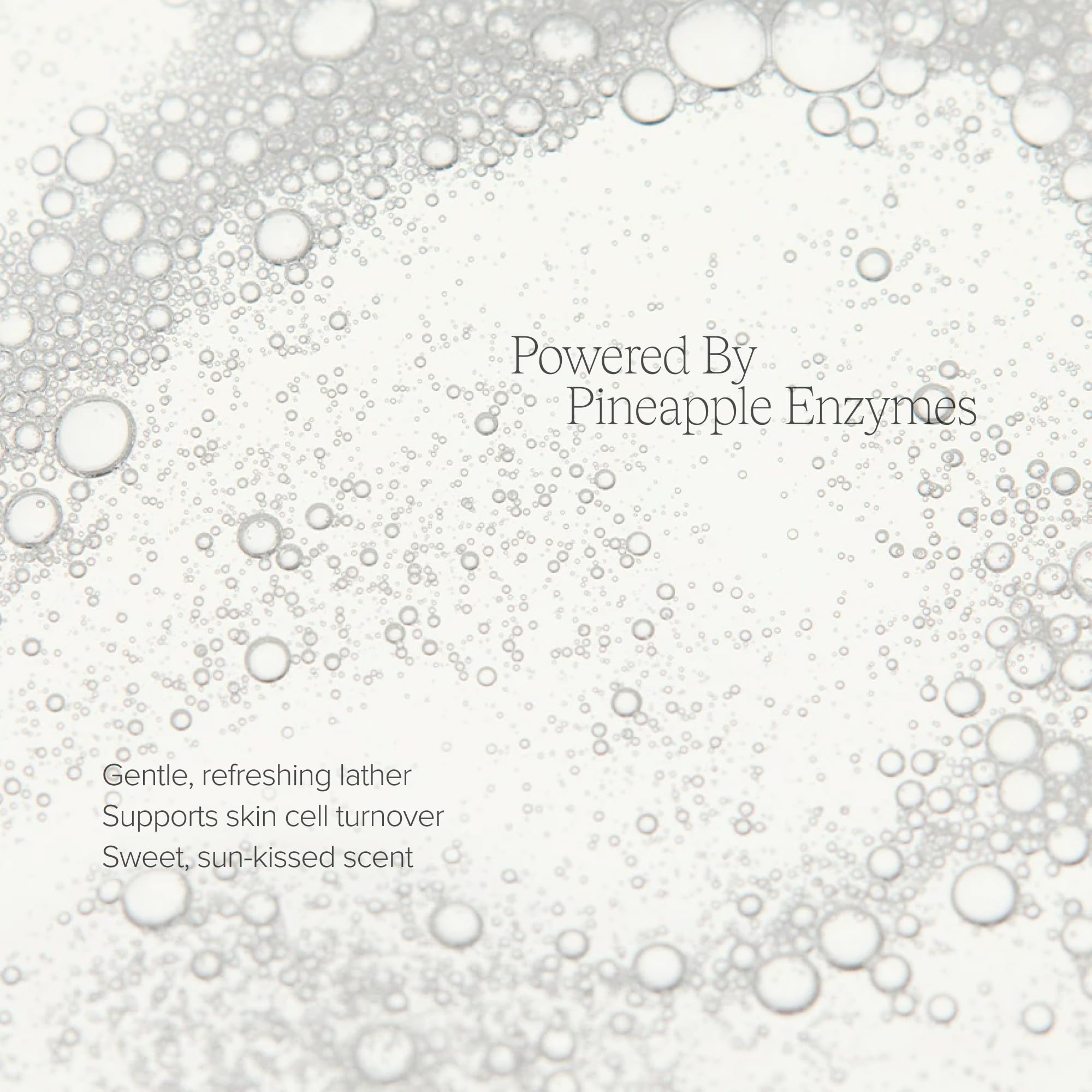 Alo Enzyme Cleanser amla ingredient depiction promoting antioxidant support