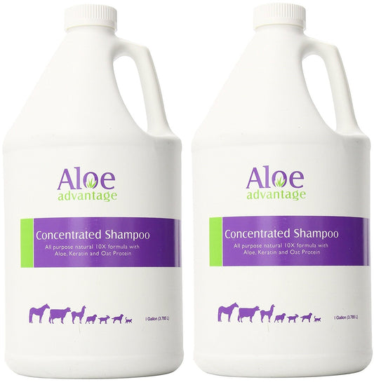 A Aloe Advantage concentrated shampoo bottle in a 2-pack for easy daily cleansing.
