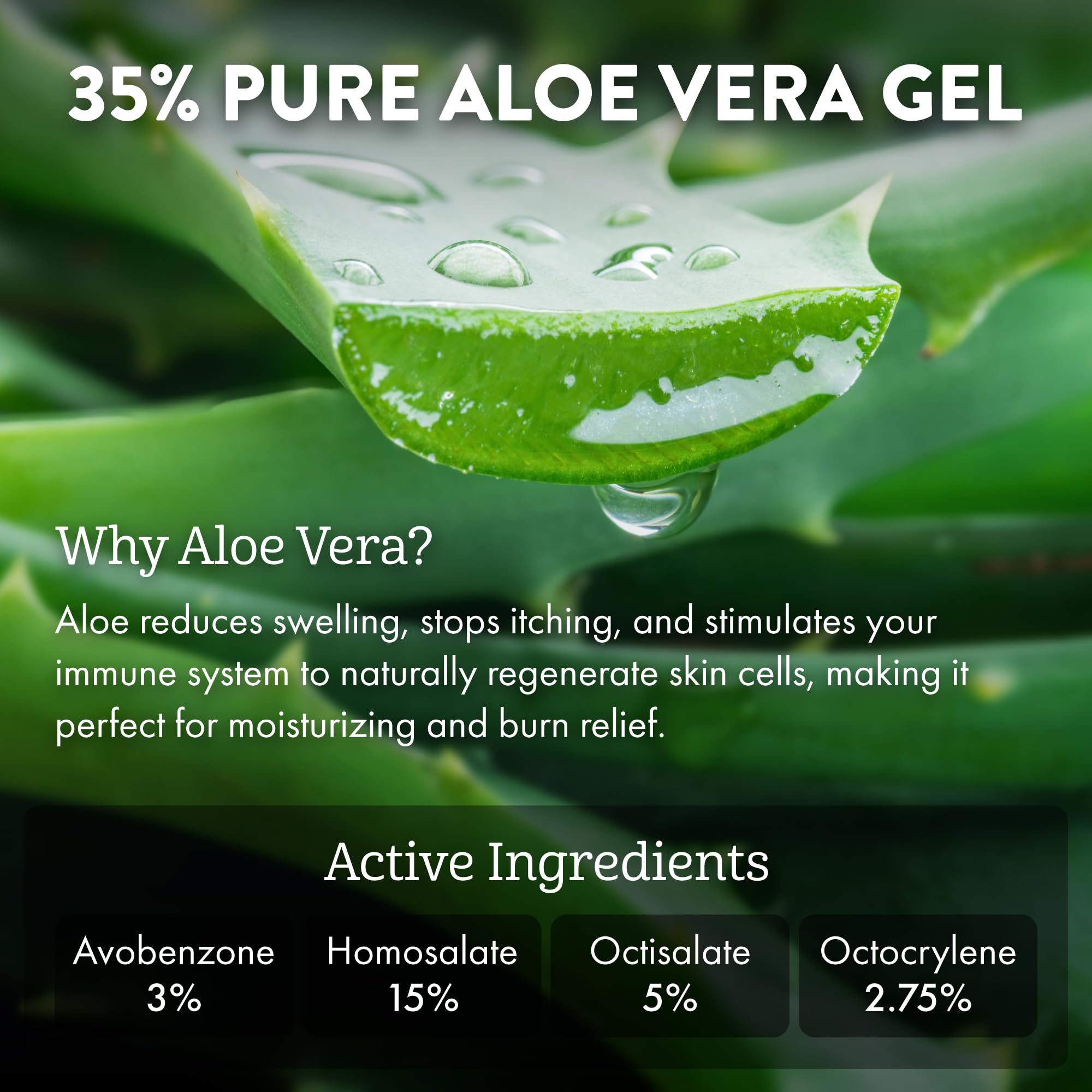 Aloe Up reef-safe sunscreen with water resistance up to 80 minutes.