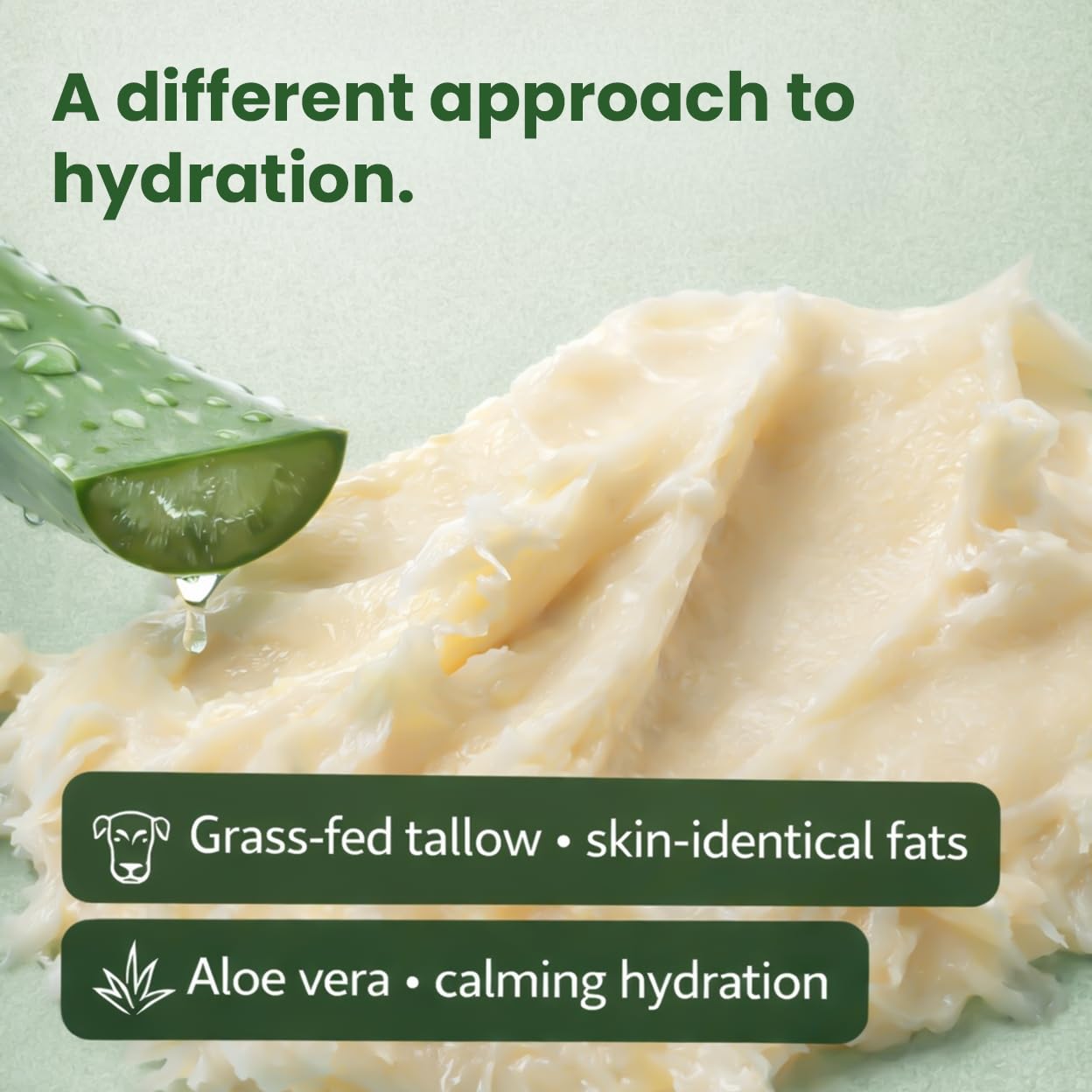 AloeTallow formula highlights aloe vera and organic oils for gentle hydration.