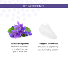 ALOXXI ingredient panel highlighting brightening tripeptides and sulfate-free formula